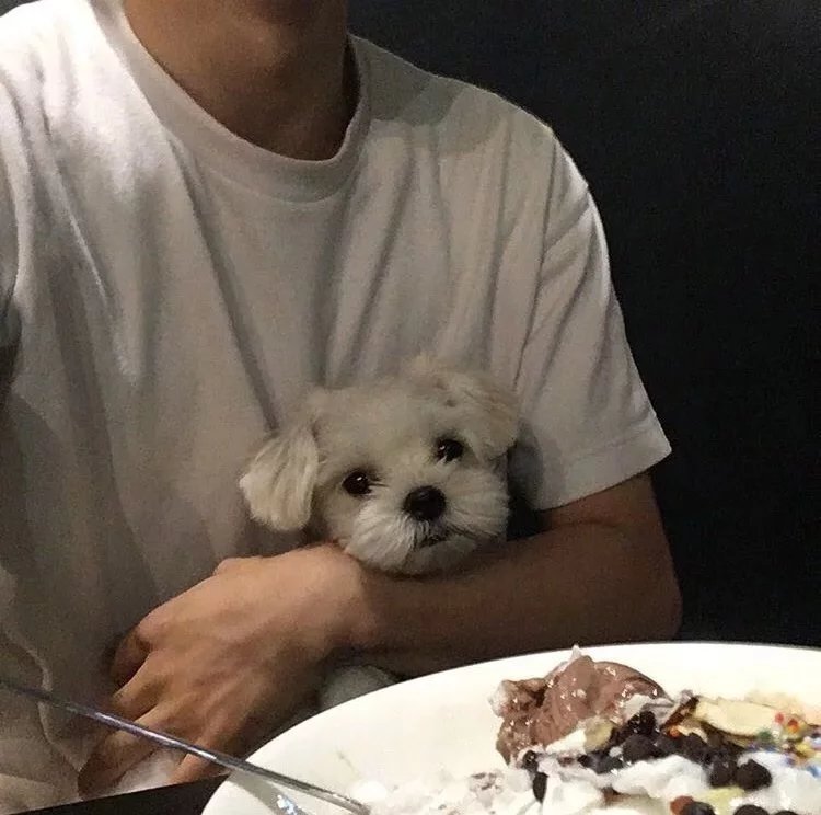 射击手游取什么战队名字好听